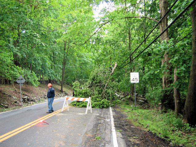 Storm Damage, Cantitoe Street - May 2007
